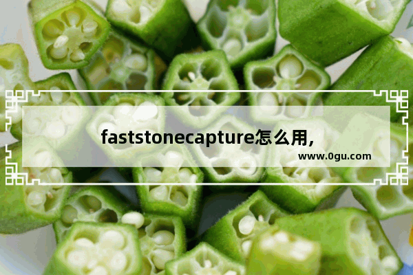 faststonecapture怎么用,faststone capture安装教程