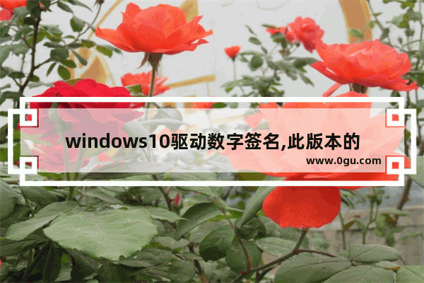 windows10驱动数字签名,此版本的windows要求所有的驱动程序签名