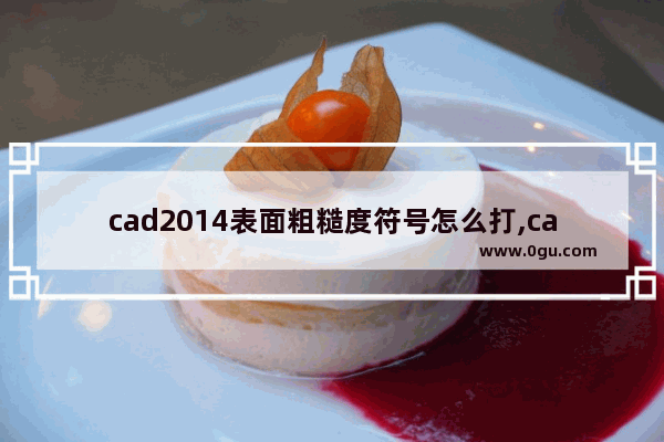cad2014表面粗糙度符号怎么打,cad2012粗糙度符号怎么标注