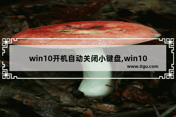 win10开机自动关闭小键盘,win10笔记本numlock键没反应