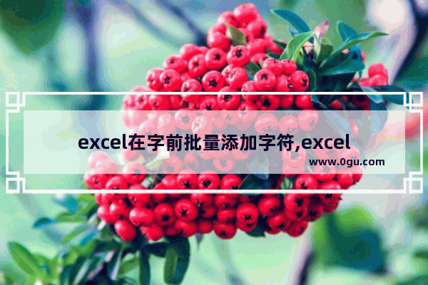 excel在字前批量添加字符,excel单元格增加字段