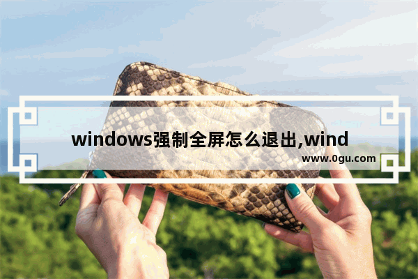 windows强制全屏怎么退出,windows游戏退出全屏