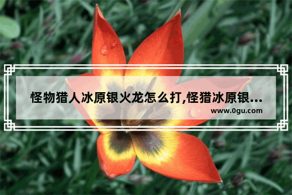 怪物猎人冰原银火龙怎么打,怪猎冰原银火龙怎么出