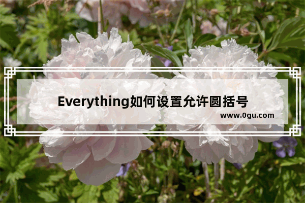 Everything如何设置允许圆括号