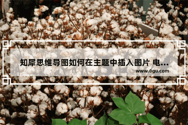 知犀思维导图如何在主题中插入图片 电脑版知犀思维导图在主题中插入图片的方法