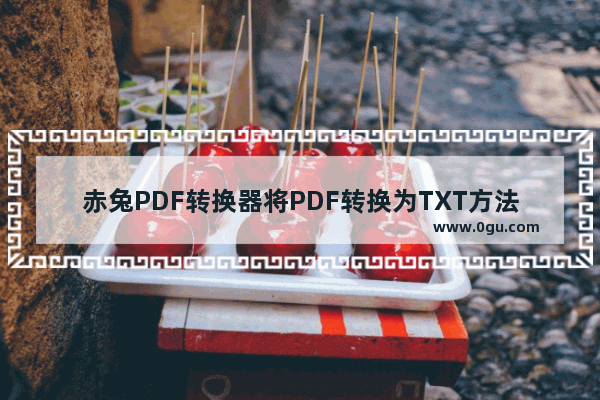 赤兔PDF转换器将PDF转换为TXT方法 赤兔PDF转换器如何将PDF转换为TXT