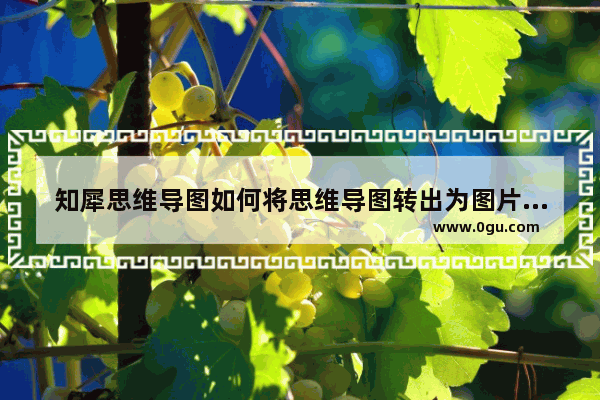 知犀思维导图如何将思维导图转出为图片 电脑版知犀思维导图将思维导图转出为图片的方法