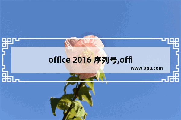 office 2016 序列号,office2007专业版序列号