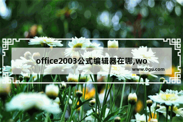 office2003公式编辑器在哪,word2003公式编辑器设置快捷键