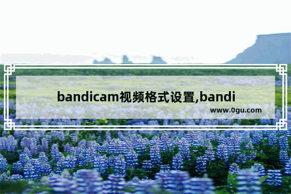 bandicam视频格式设置,bandicam怎么设置高清录屏