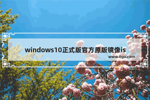 windows10正式版官方原版镜像iso下载地址,下载微软win10官方原版iso镜像 1