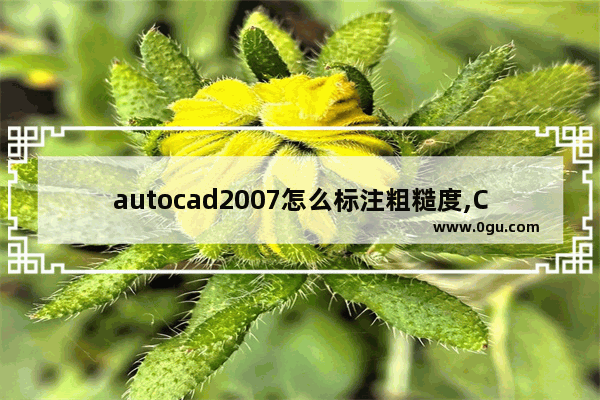 autocad2007怎么标注粗糙度,CAD2010怎么标注粗糙度