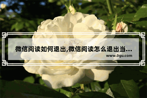 微信阅读如何退出,微信阅读怎么退出当前书籍