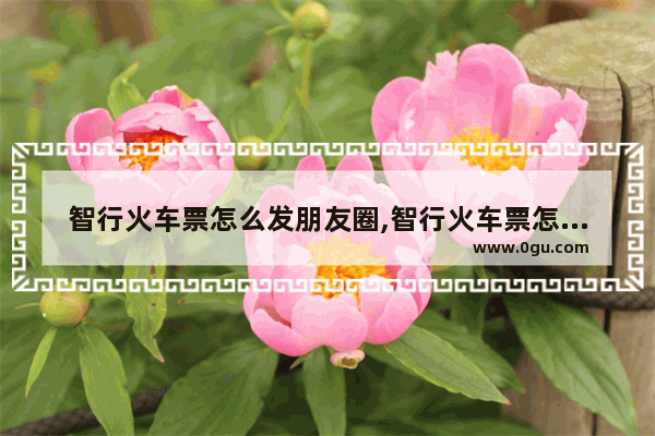 智行火车票怎么发朋友圈,智行火车票怎么分享行程