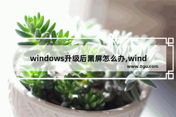 windows升级后黑屏怎么办,windows10升级后黑屏怎么办