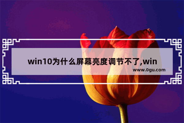 win10为什么屏幕亮度调节不了,windows10无法调节屏幕亮度