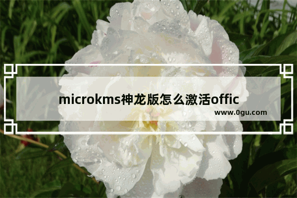 microkms神龙版怎么激活office2019,micro神龙版激活Office失败 1