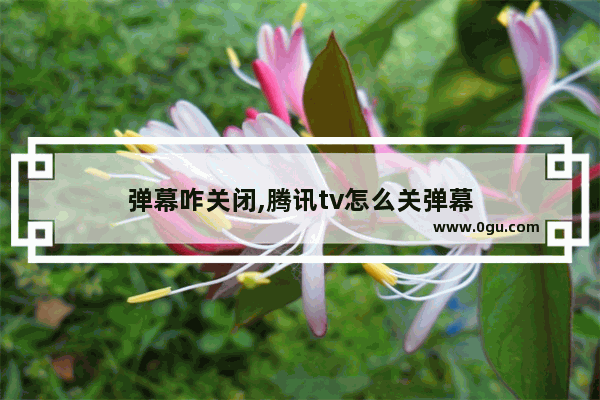 弹幕咋关闭,腾讯tv怎么关弹幕