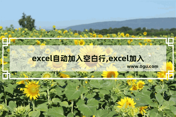 excel自动加入空白行,excel加入空白行