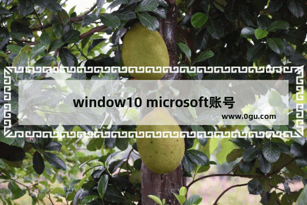 window10 microsoft账号,win10家庭版怎么登陆微软账户