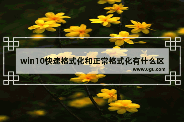 win10快速格式化和正常格式化有什么区别,windows低级格式化