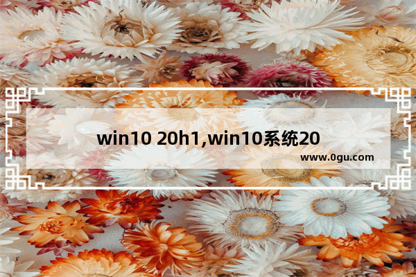 win10 20h1,win10系统20h1
