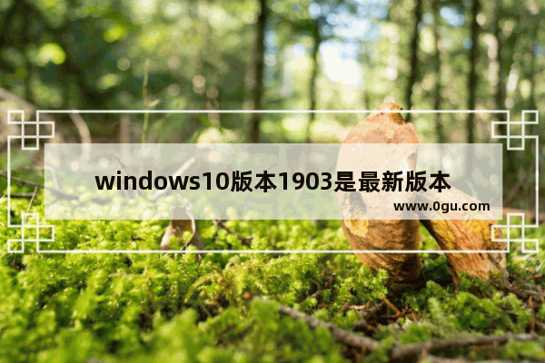 windows10版本1903是最新版本吗,win10的1903版本和1809版本比较的区别