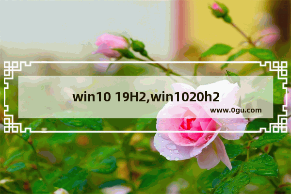 win10 19H2,win1020h2是什么版本
