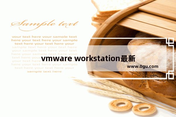 vmware workstation最新版本,vmware workstation7.1