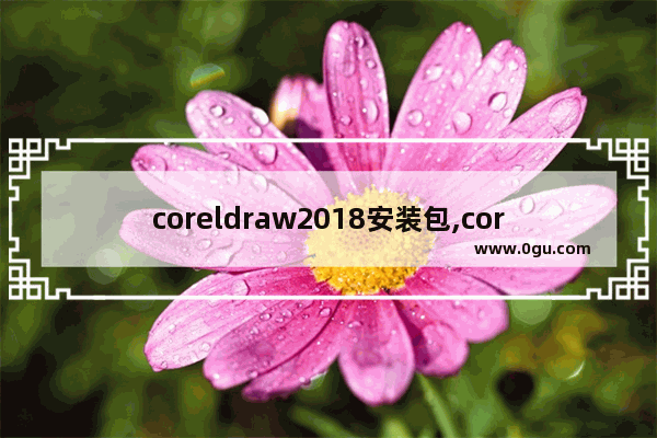 coreldraw2018安装包,coreldraw2019怎么安装