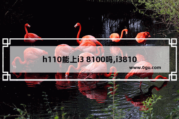 h110能上i3 8100吗,i38100配h110好用吗