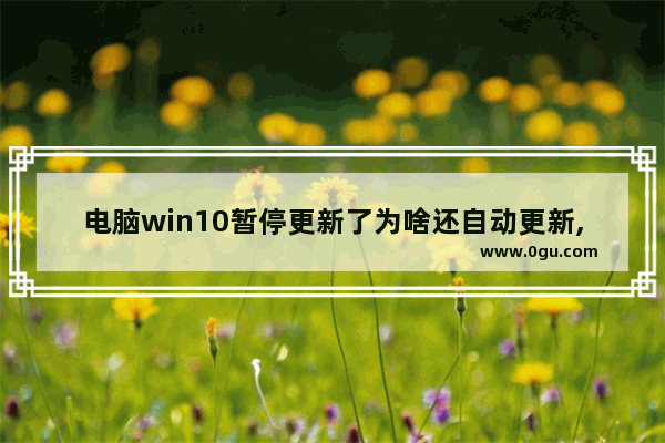 电脑win10暂停更新了为啥还自动更新,win10系统暂停更新如何操作