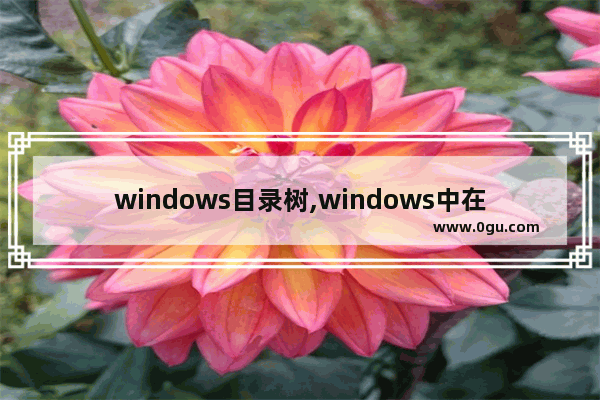 windows目录树,windows中在树形目录结构下
