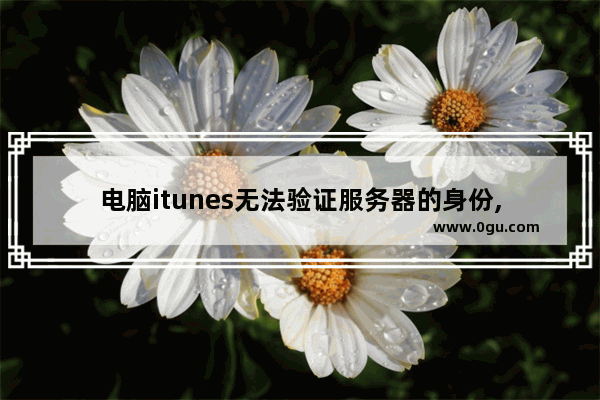 电脑itunes无法验证服务器的身份,