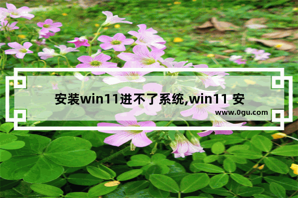 安装win11进不了系统,win11 安装不了