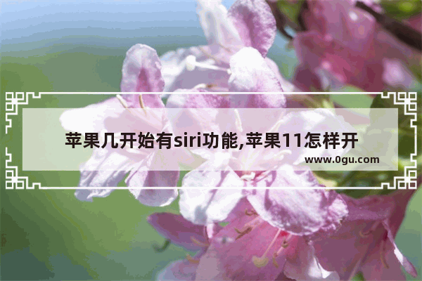 苹果几开始有siri功能,苹果11怎样开启siri功能
