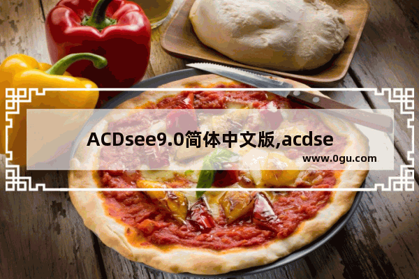 ACDsee9.0简体中文版,acdsee2021中文免费版绿色