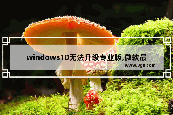 windows10无法升级专业版,微软最近更新win10出现的问题