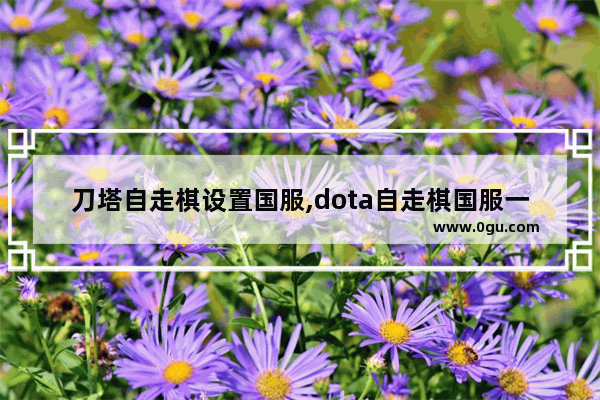 刀塔自走棋设置国服,dota自走棋国服一进去就选日服