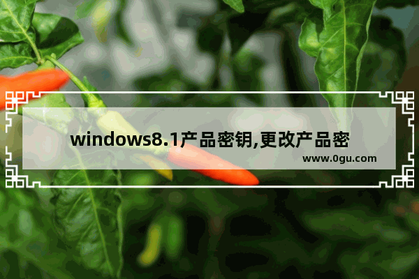 windows8.1产品密钥,更改产品密钥win10企业版