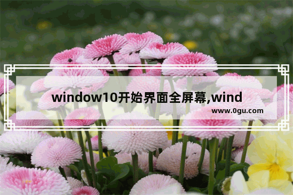 window10开始界面全屏幕,windows10怎么全屏显示