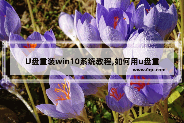 U盘重装win10系统教程,如何用u盘重装系统win10
