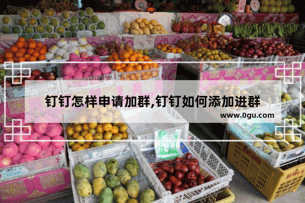钉钉怎样申请加群,钉钉如何添加进群