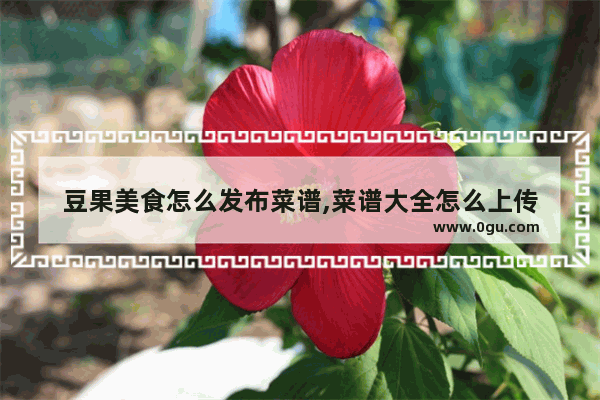 豆果美食怎么发布菜谱,菜谱大全怎么上传