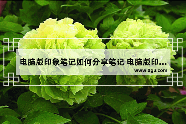 电脑版印象笔记如何分享笔记 电脑版印象笔记分享笔记的方法