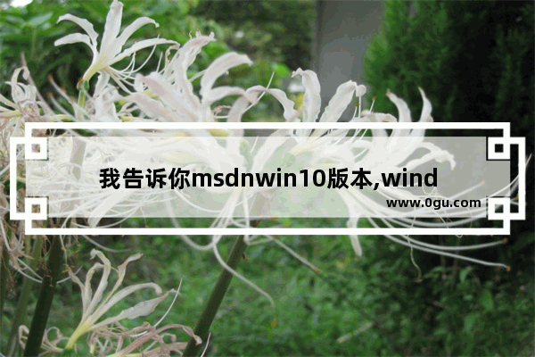 我告诉你msdnwin10版本,windows10 msdn下载