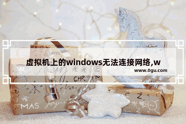 虚拟机上的windows无法连接网络,win10虚拟机连不上主机