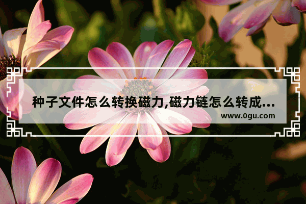 种子文件怎么转换磁力,磁力链怎么转成种子文件