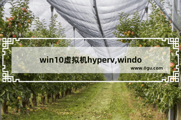 win10虚拟机hyperv,windows10家庭版安装hyper v