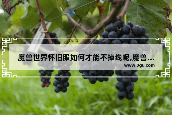 魔兽世界怀旧服如何才能不掉线呢,魔兽世界怀旧服怎么才能不掉线